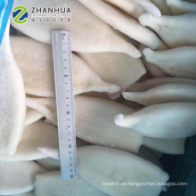 Embalaje tratado químico de la UE del color blanco del tubo U10 U7 U5 del calamar limpiado congelado
